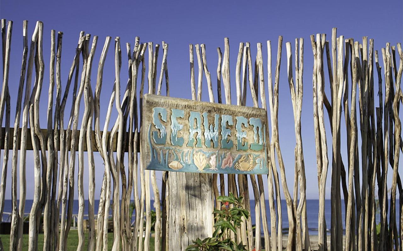 Jakes Hotel Treasure Beach Esterno foto
